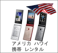 �C�O�g�у����^��