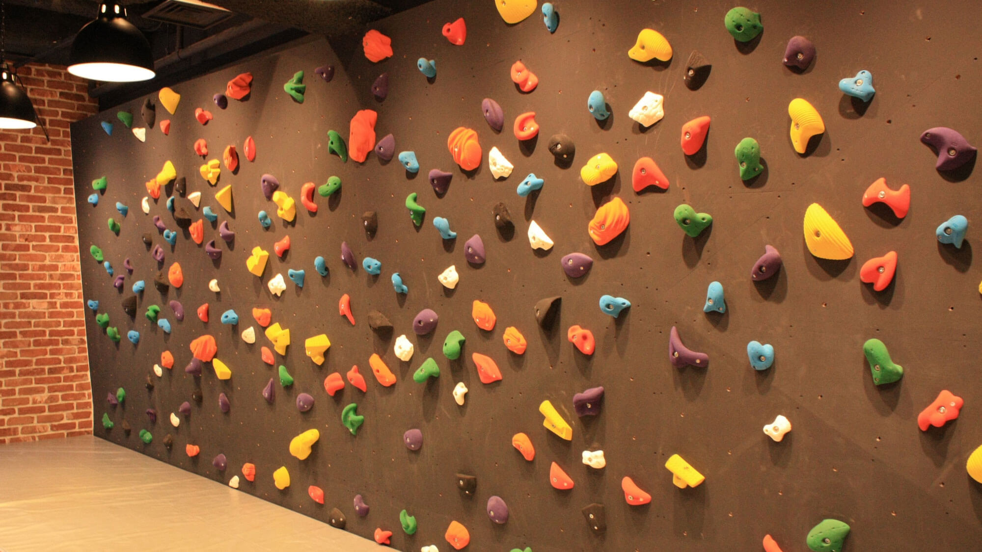 �C���g��WiFi �n�����E���W�E�{���_�����O