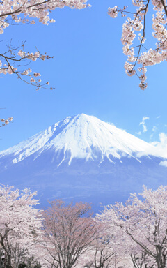 富士山静岡空港