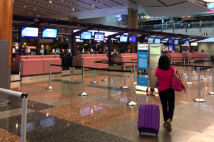 �V���K�|�[���E�`�����M���ۋ�`