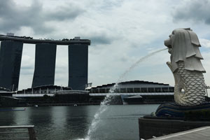 �}�[���C�I���ƃ}���[�i�x�C�T���Y