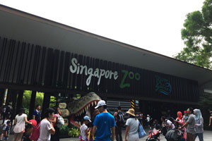 �V���K�|�[��������