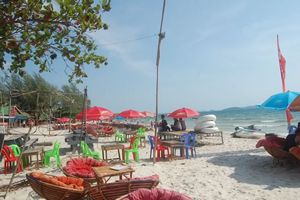 �V�A�k�[�N�r��