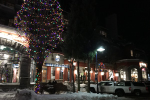 �E�B�X���[�̃R���h�~�j�A���̃t���[WiFi