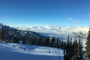 �W����2,000m�̋x�e���B�����ł��t���[WiFi���B