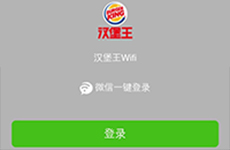 �o�[�K�[�L���O��WiFI�ڑ����