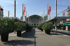 �o�[�[�������w