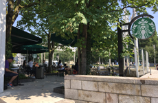 �o�[�[�������w�A�X�^�[�o�b�N�X�R�[�q�[