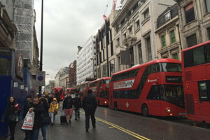 �C�M���X�E�����h���̕��i