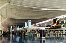 （画像）羽田空港国際線ターミナル